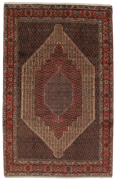Senneh - Kurdi Tappeto Persiano 312x200