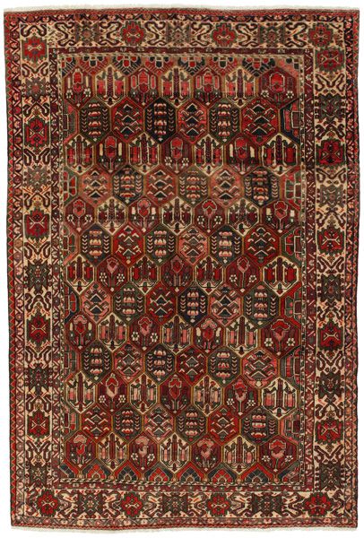 Bakhtiari - Garden Tappeto Persiano 305x205
