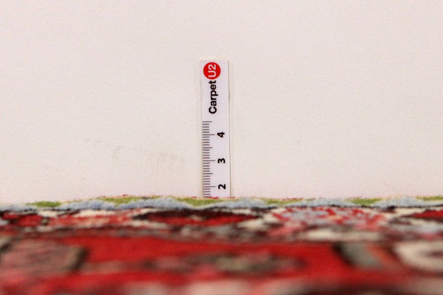 Bakhtiari Tappeto Persiano 305x198 - Immagine 7