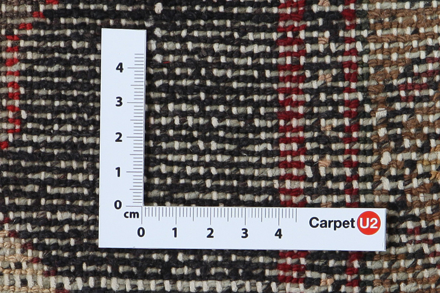 Koliai - Kurdi Tapis Persan 251x145 - Image 4