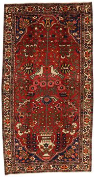 Teppich Jozan Sarouk 310x164