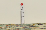 Keshan Perser Teppich 420x307 - Abbildung 8
