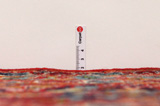 Keshan Perser Teppich 382x294 - Abbildung 8