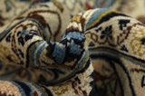 Kashan Tapis Persan 406x287 - Image 7