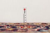 Kashan Tappeto Persiano 305x204 - Immagine 8
