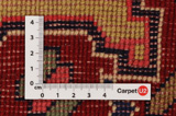 Malayer Perser Teppich 267x154 - Abbildung 4
