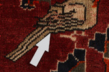 Qashqai - Shiraz Perser Teppich 278x152 - Abbildung 18