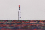 Afshar - Sirjan Perser Teppich 232x135 - Abbildung 8