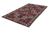 Bakhtiari - Garden Perser Teppich 303x171 - Abbildung 2