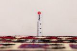 Mir - Sarough Tapis Persan 305x159 - Image 8