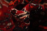 Qashqai - Shiraz Tappeto Persiano 240x148 - Immagine 7