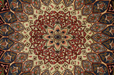 Tabriz Tappeto Persiano 249x206 - Immagine 9