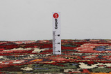 Bakhtiar Tapis Persan 263x156 - Image 9
