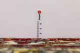 Jozan - Sarough Perser Teppich 167x100 - Abbildung 8