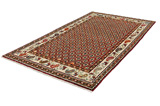 Joshaghan Perser Teppich 289x166 - Abbildung 2
